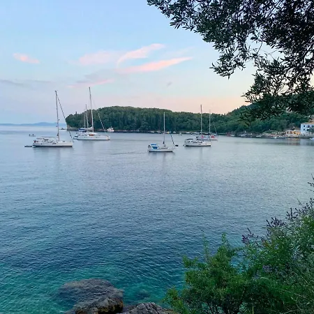 Paleopetres K-three - Premium Double - - *