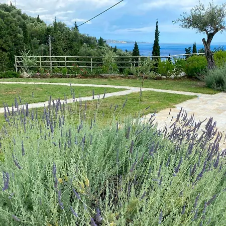 Paleopetres K-three - Premium Double - - Kalámi