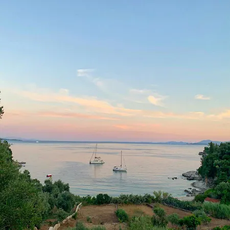 Paleopetres K-three - Premium Double - - * Kalámi