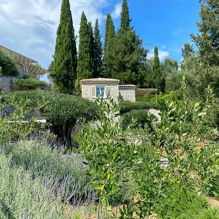 Paleopetres K-three - Premium Double - - Kalámi