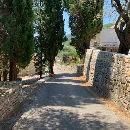 Paleopetres K-three - Premium Double - - Kalámi