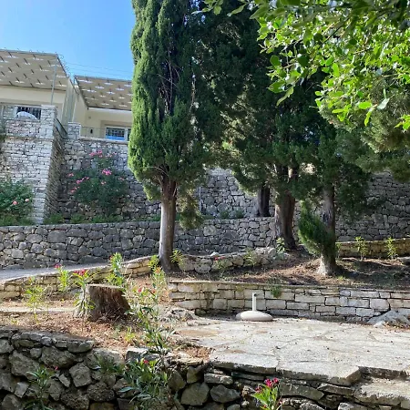 Paleopetres K-three - Premium Double - - *